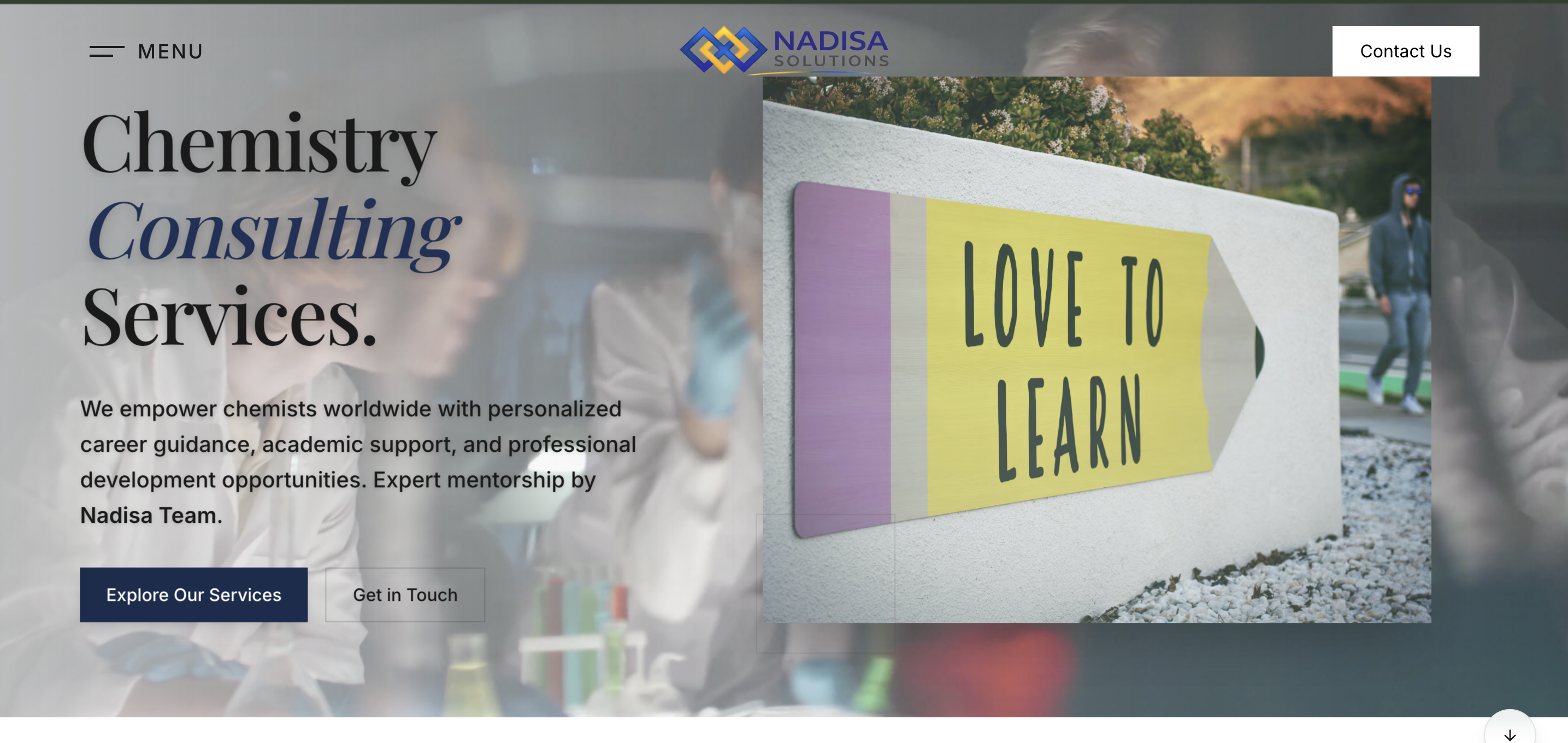 Nadisa Solutions